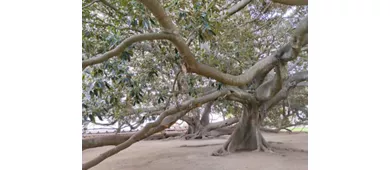 Galeria de Arte Municipal