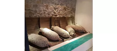 Archäologisches Museum von Villasimius