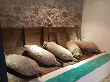 Museo Arqueológico de Villasimius