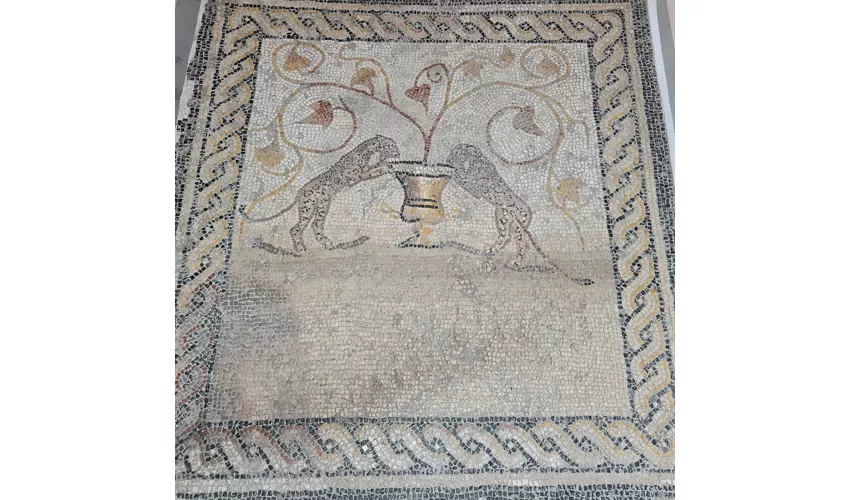 Archäologisches Museum „Ferruccio Barreca“ - MAB Sant'Antioco Sardinien