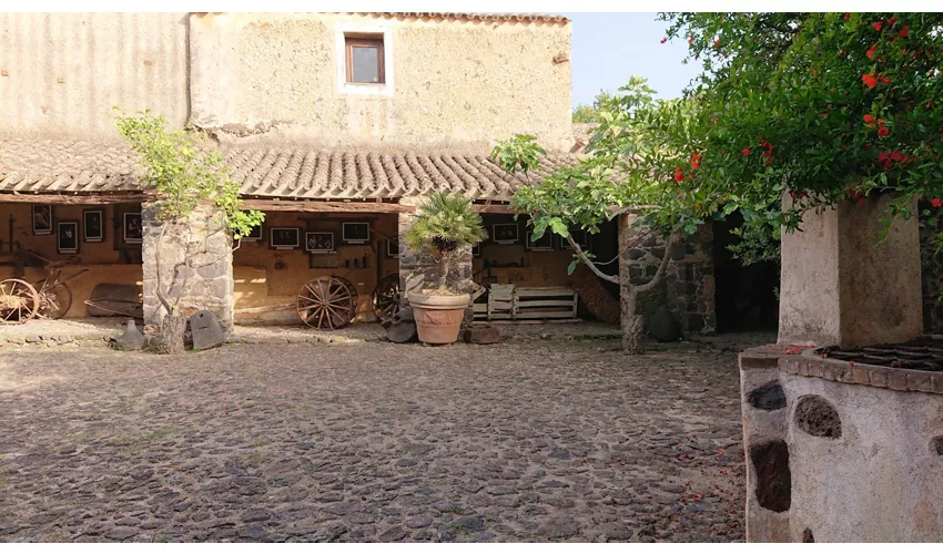 Museo Etnografico Sa Domo ‘e sos Marras