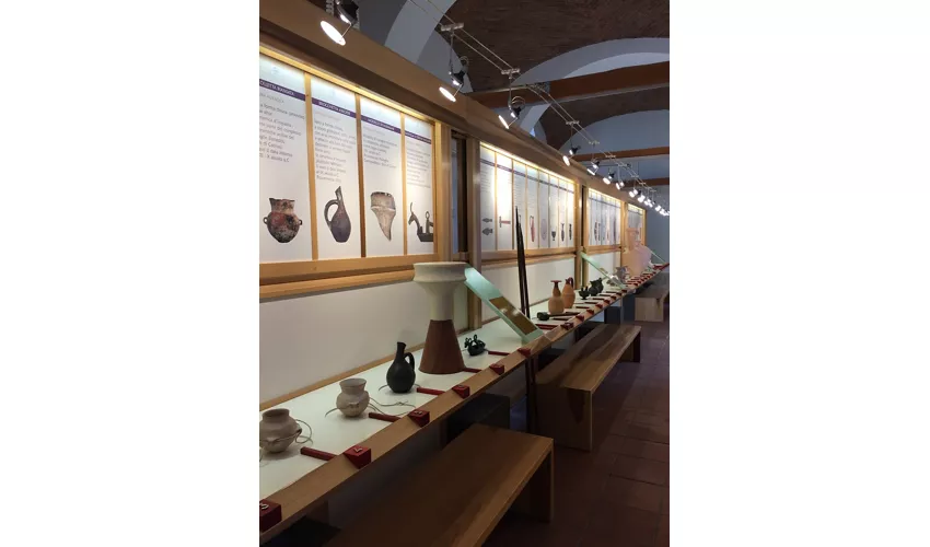 Museo Archeologico e Storico Artistico "Antiquarium Arborense"