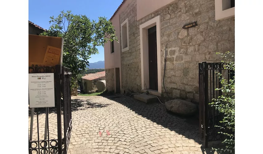 Ethnografisches Museum Oliva Carta Cannas