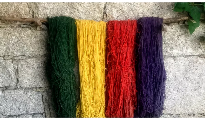 Musée ethnographique Oliva Carta Cannas