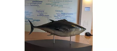 MuT - Museo della Tonnara di Stintino