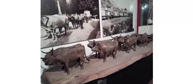 Museo del marmo