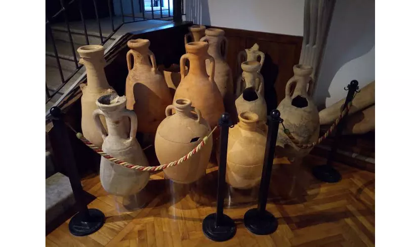 Museo Archeologico Sutermeister