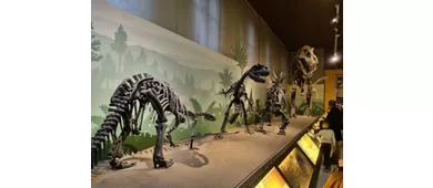 Museo Civico di Storia Naturale di Milano