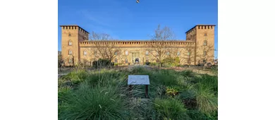 Castillo Visconteo de Pavía - Museos municipales