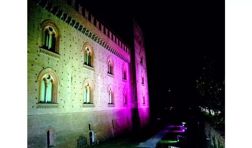 Castillo Visconteo de Pavía - Museos municipales