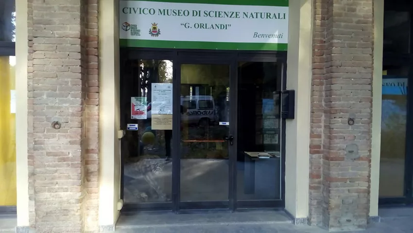 Museo di Scienze Naturali di Voghera