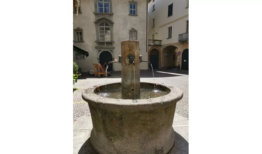MVSA - Musée d'histoire et d'art de la Valteline