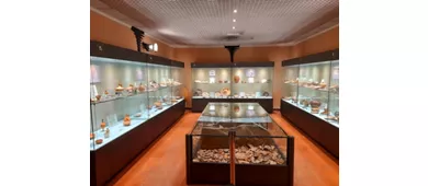 Civico Museo Archeologico