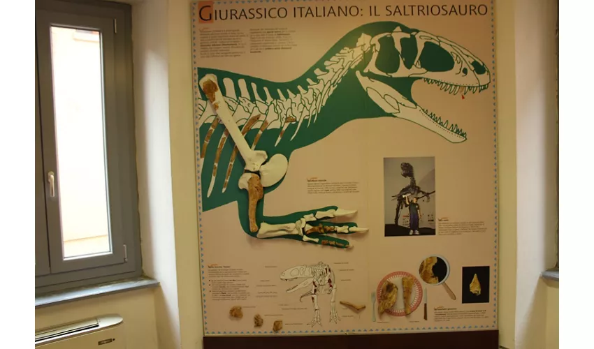 Städtisches Fossilienmuseum von Besano