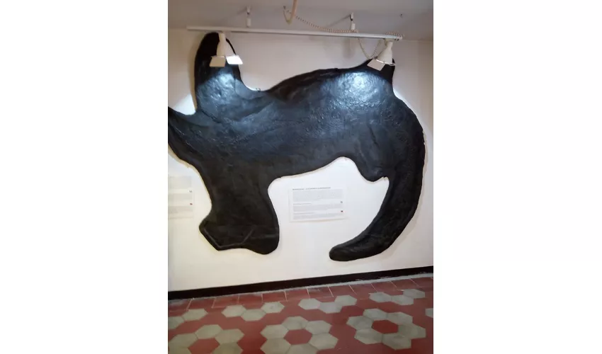 Städtisches Fossilienmuseum von Besano