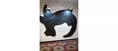 Städtisches Fossilienmuseum von Besano