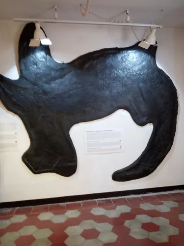 Museo Civico dei Fossili di Besano