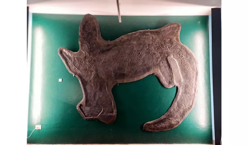 Städtisches Fossilienmuseum von Besano