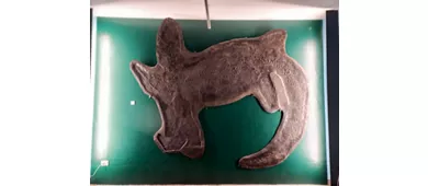 Städtisches Fossilienmuseum von Besano