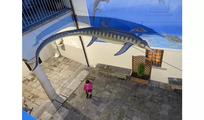 Städtisches Fossilienmuseum von Besano