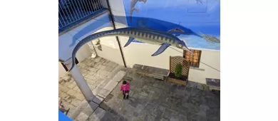 Musée municipal des fossiles de Besano