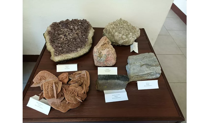 Städtisches Fossilienmuseum von Besano