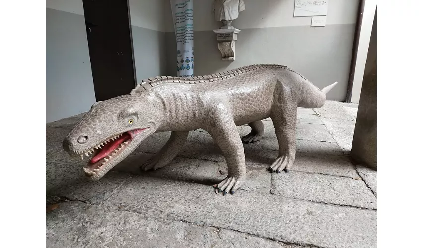 Städtisches Fossilienmuseum von Besano