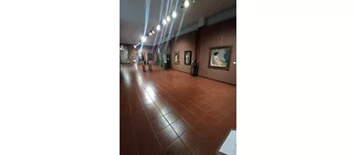 Civiche Raccolte D'Arte di Palazzo Cicogna