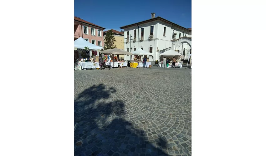 Civiche Raccolte D'Arte di Palazzo Cicogna