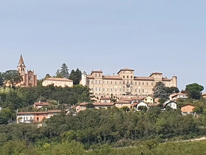 Museo - Castello di Magliano Alfieri