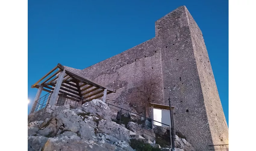 Museo geopaleontologico "Ardito Desio"