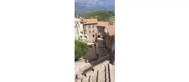 Museo geopaleontologico "Ardito Desio"