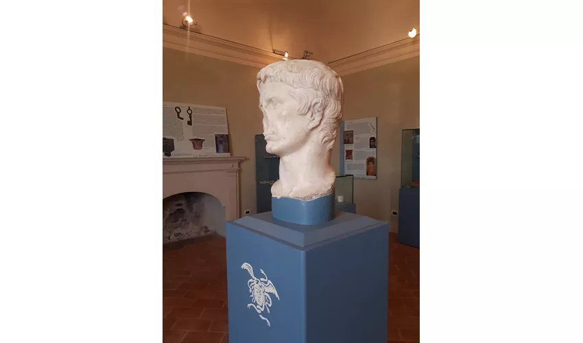 Museo Civico Archeologico della Città romana di Suasa "Alvaro Casagrande"