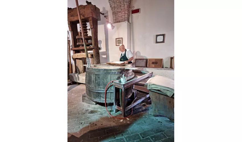 Musée du papier et du filigrane
