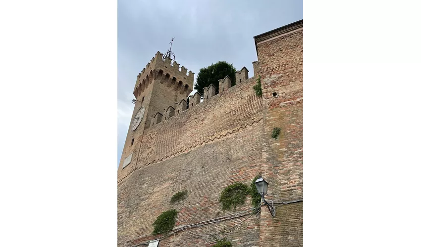 Museo Luigi Paolucci