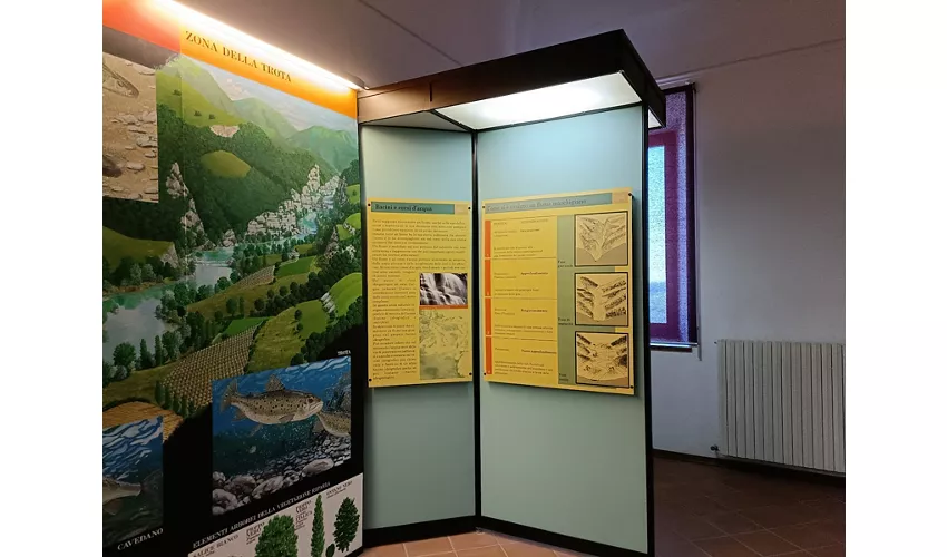 Museo Luigi Paolucci