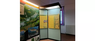 Museo Luigi Paolucci