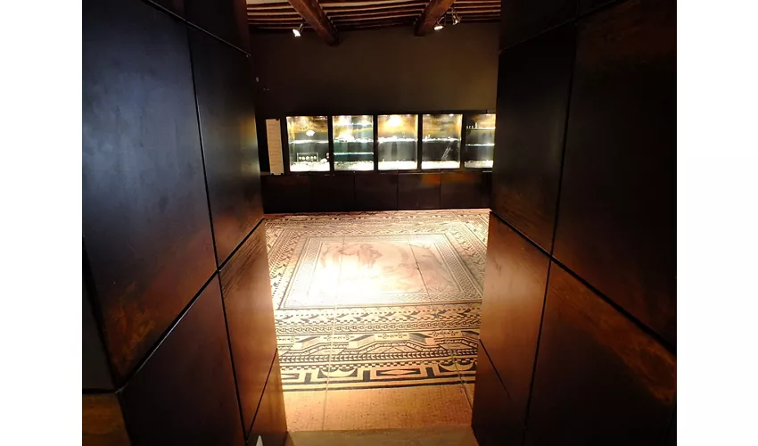 Museu Cívico Arqueológico e Coleção Perottiana