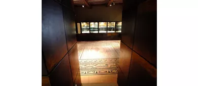 Museu Cívico Arqueológico e Coleção Perottiana