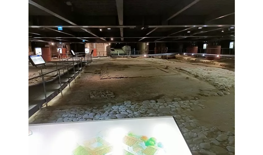 Area archeologica e museo La Fenice