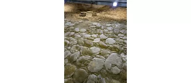 Area archeologica e museo La fenice