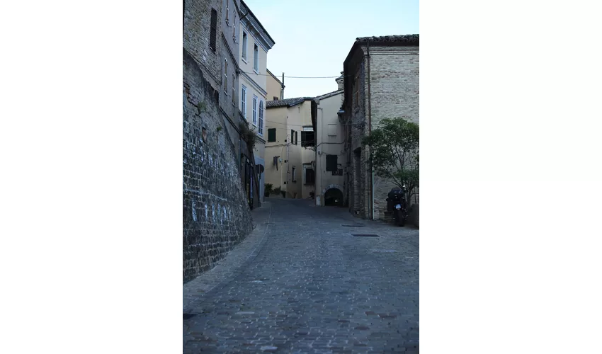 Cartoteca storica delle Marche