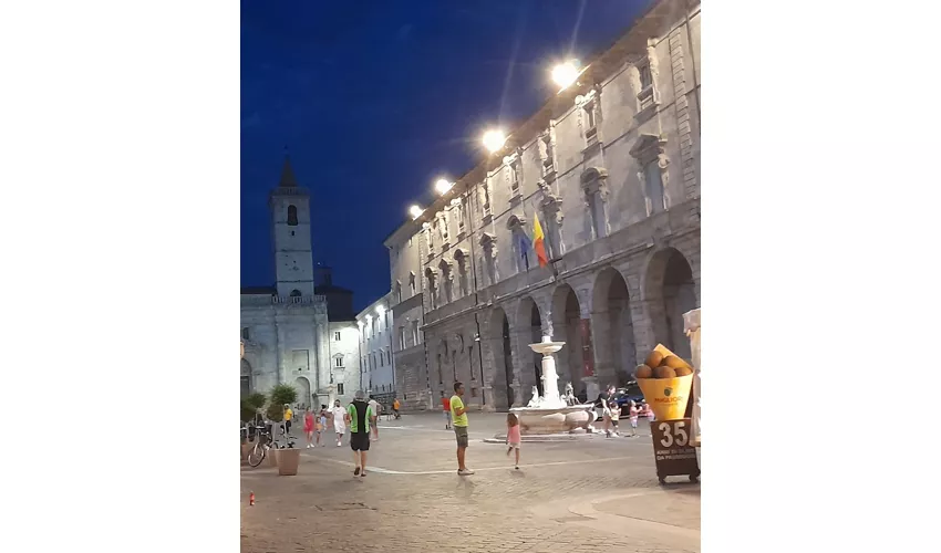 Pinacothèque municipale