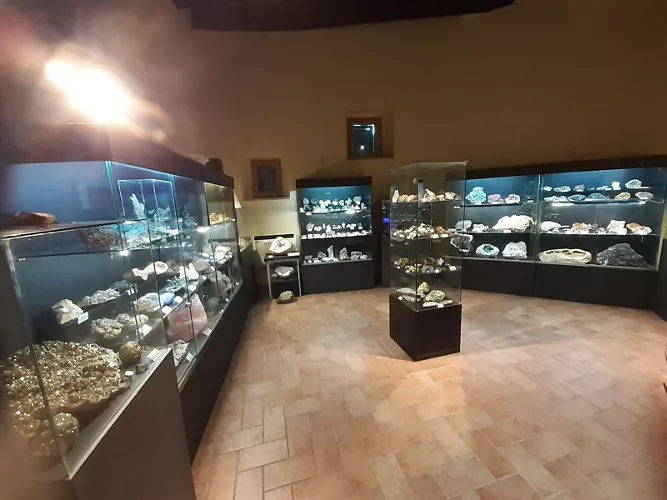 Fondazione Oppelide - Museo di Storia Naturale