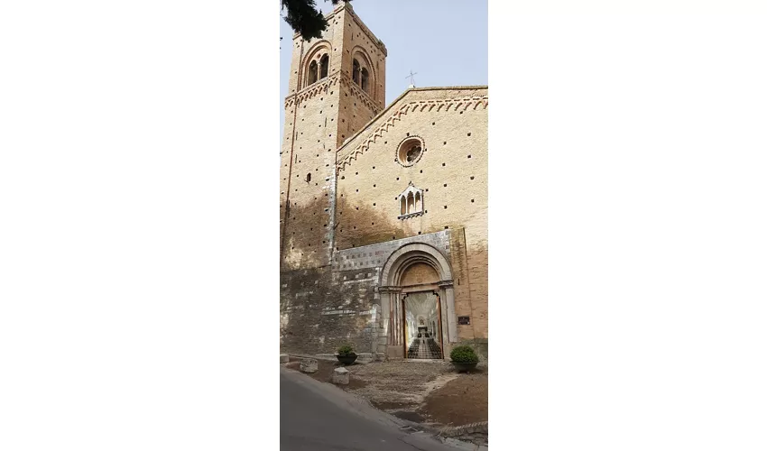 Museo Archeologico "Giuseppe Moretti"