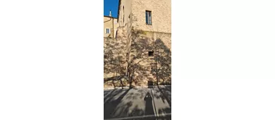 Museo Civico Archeologico