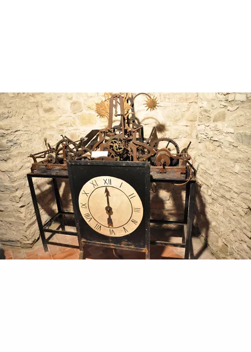 Museum für Fossilien und Mineralien des Monte Nerone