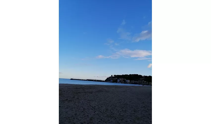 Museum für Fossilien und Mineralien des Monte Nerone