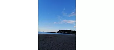 Museum für Fossilien und Mineralien des Monte Nerone