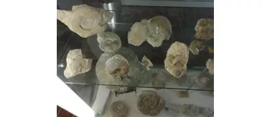 Musée des fossiles et des minéraux du Monte Nerone